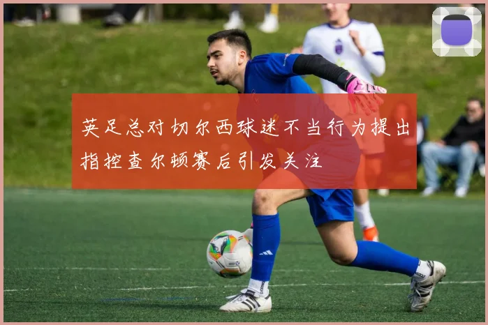 英足总对切尔西球迷不当行为提出指控查尔顿赛后引发关注