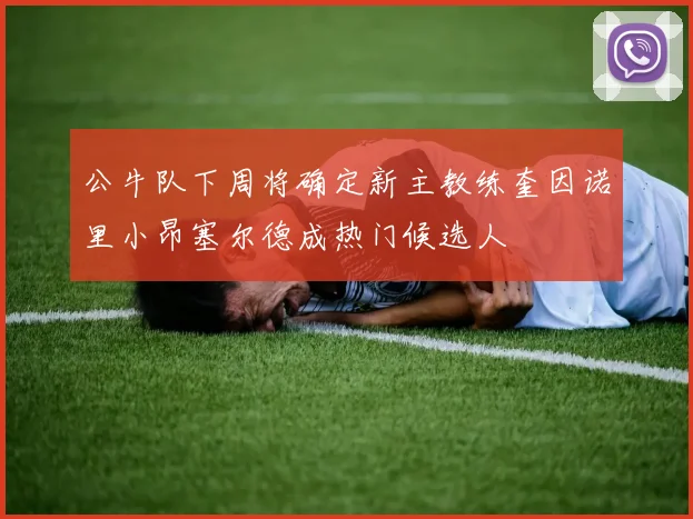 公牛队下周将确定新主教练奎因诺里小昂塞尔德成热门候选人